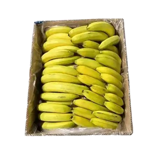 Banana (Kela)(केला)(வாழைப் பழம்) (موز) (কলা)