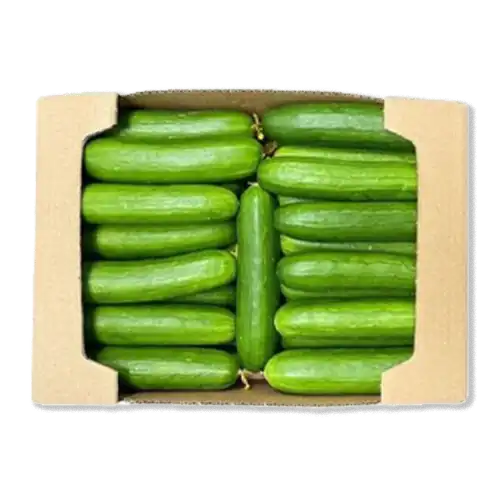 Buy Rite Fresh Cucumber