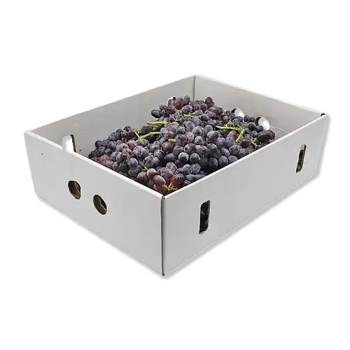 Buy Rite Fresh Grapes Black