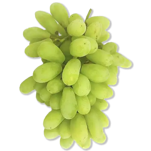 Buy Rite Fresh Grapes Green
