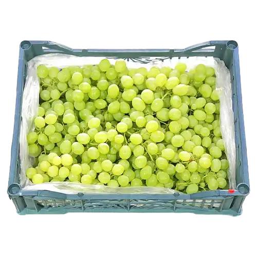 Buy Rite Fresh Grapes Green